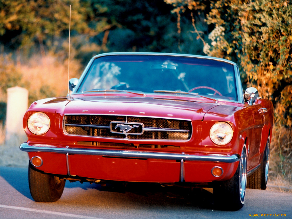 sent, by, northwolf, , mustang
